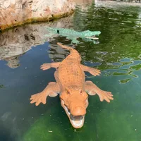 Rc Animals Simulation Crocodile Model Waterproof for Outdoor Lake Electric Remote Control Alligator Shark Children's Water Toys 2