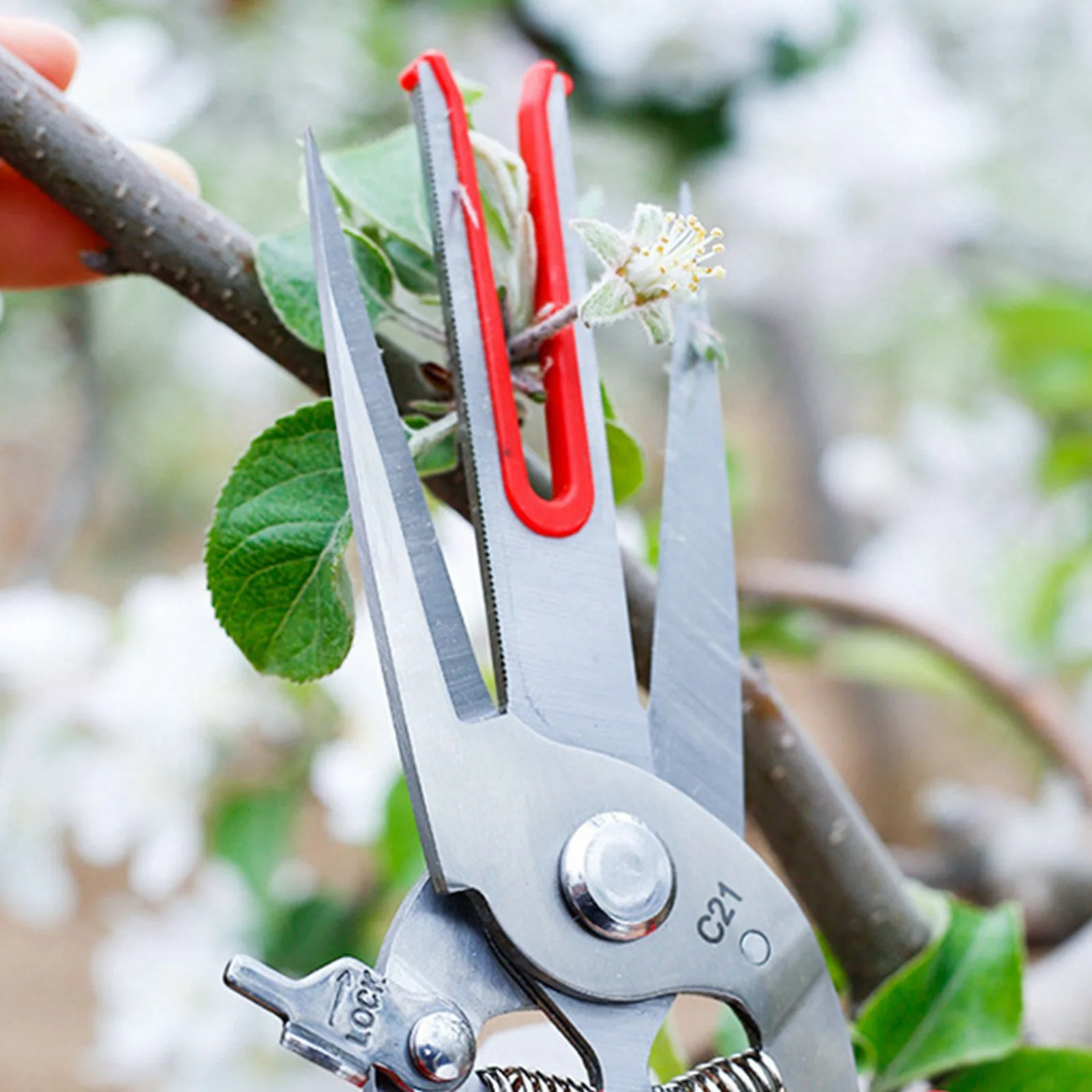 garden scissors garden tools Fruit Picking Scissors Double-edged Apple Picking Scissors Kiwi Pear Thinning Yangjiang Double Mouth Thin
