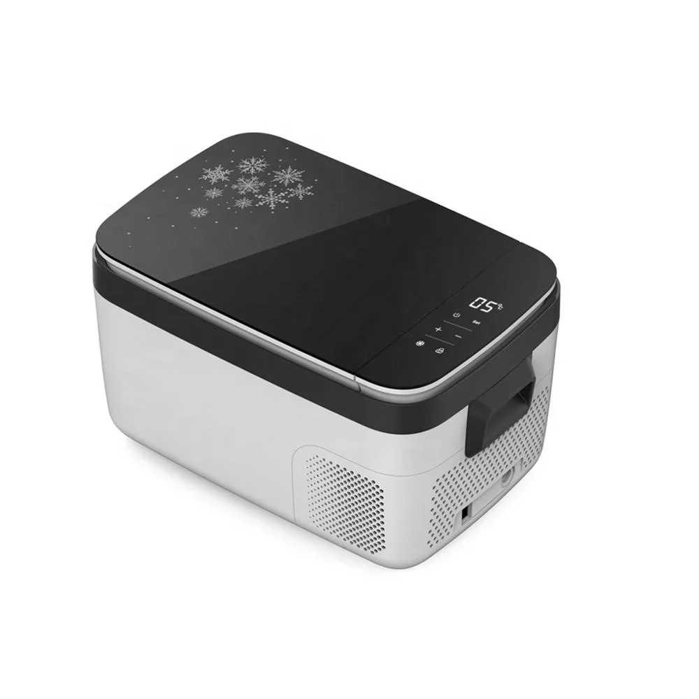 Car Refrigerator 12v 24v Mini Fridge Freezer Car/Home Dual-use Small Refrigerator