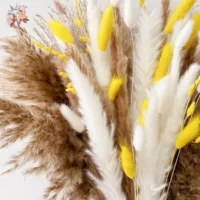 90Pcs Natural Dried Flowers Pampas Bouquet