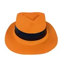 8PCS hat
