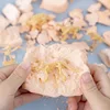 Educational Dinosaur Fossil Excavation Toys Archaeological Dig DIY Assembly Model For Children Boys Girls Birthday Xmas Gifts 3