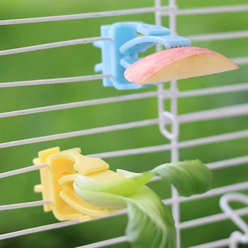 2/4pcs Set Pet Bird Food Holders Parrot Fruit Vegetables Clip Cuttlefish Bone Feeder Device for Pet Parrot Bird Cage Accessories - Image 4