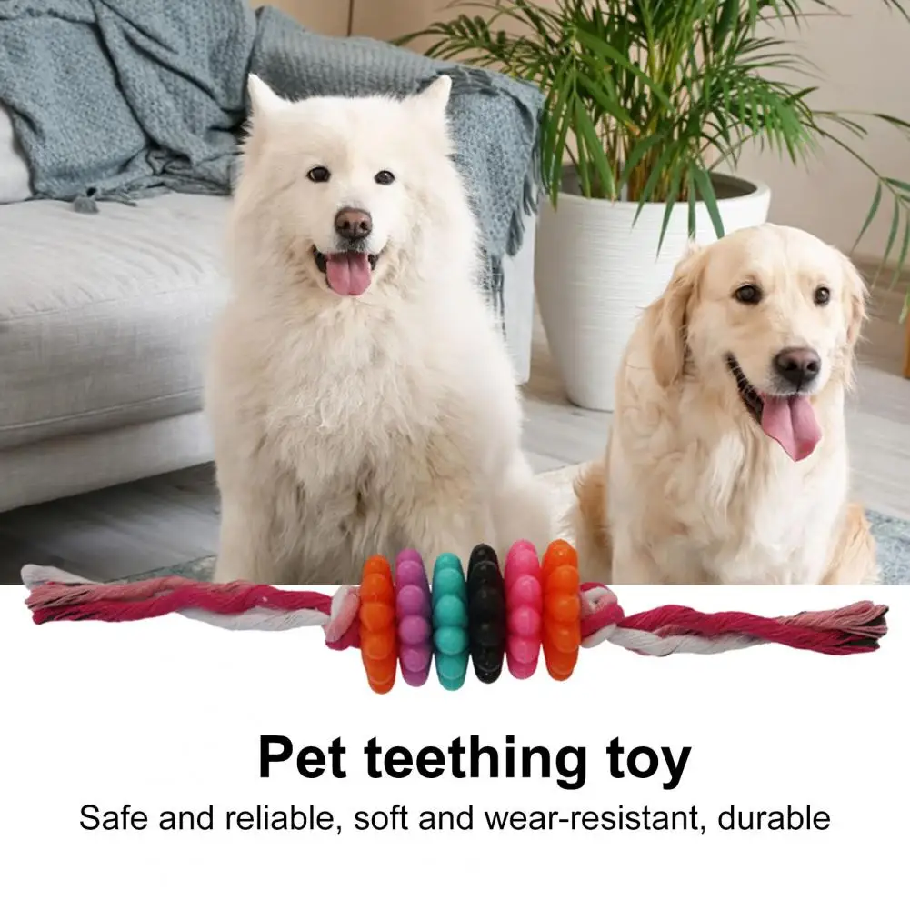 

Игрушка для прорезывания зубов у собак, прочная Жевательная веревка с защитой от укусов, цветок суккулента для зубов