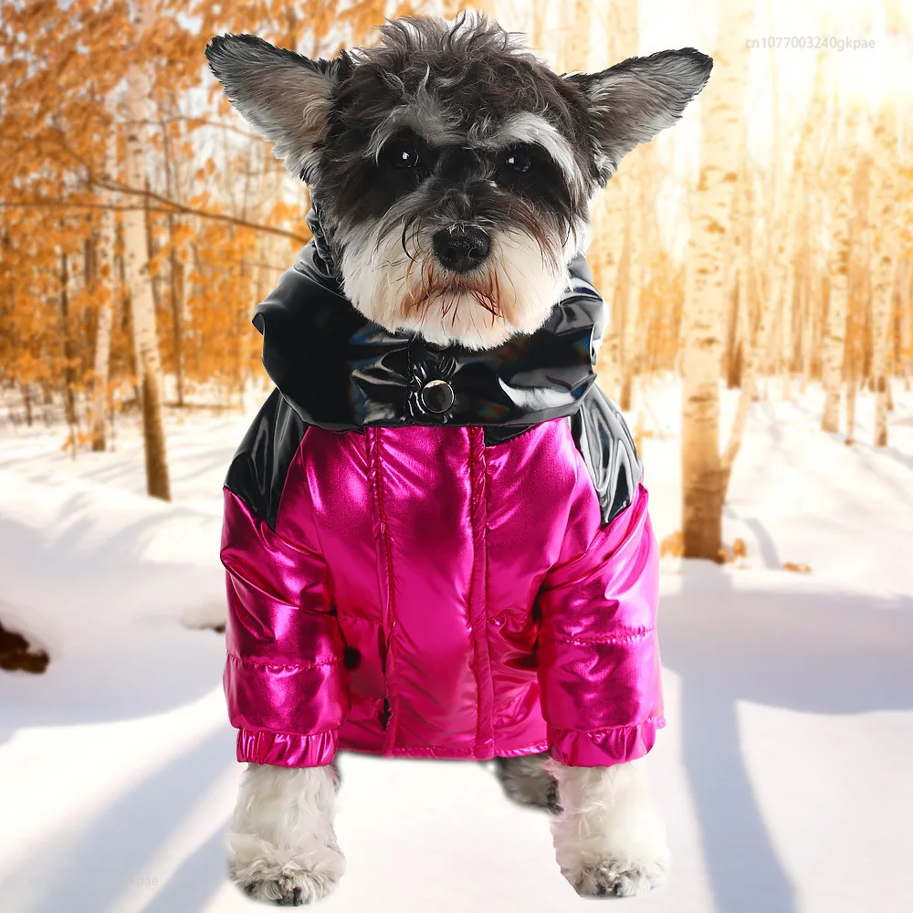 

New Winter Thickened Cold-Proof And Warm Small Dog Schnauzer Pet Dog Clothes Down Jacket Clothing