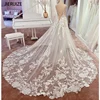 JIERUIZE Luxury Lace Appliques Backless Wedding Dresses Deep V-neck Spaghetti Straps Bridal Gowns Sexy Low Back Court Train 1