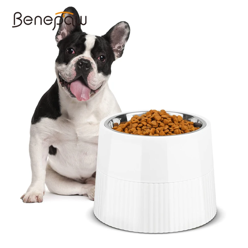 

Benepaw Elevated Dog Bowl Durable Raised Stainless Steel Pet Feeder Removable Food Water Puppy Dish For Small Medium Dogs Cats