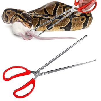 Extra Long Reptile Feeding Tongs 1