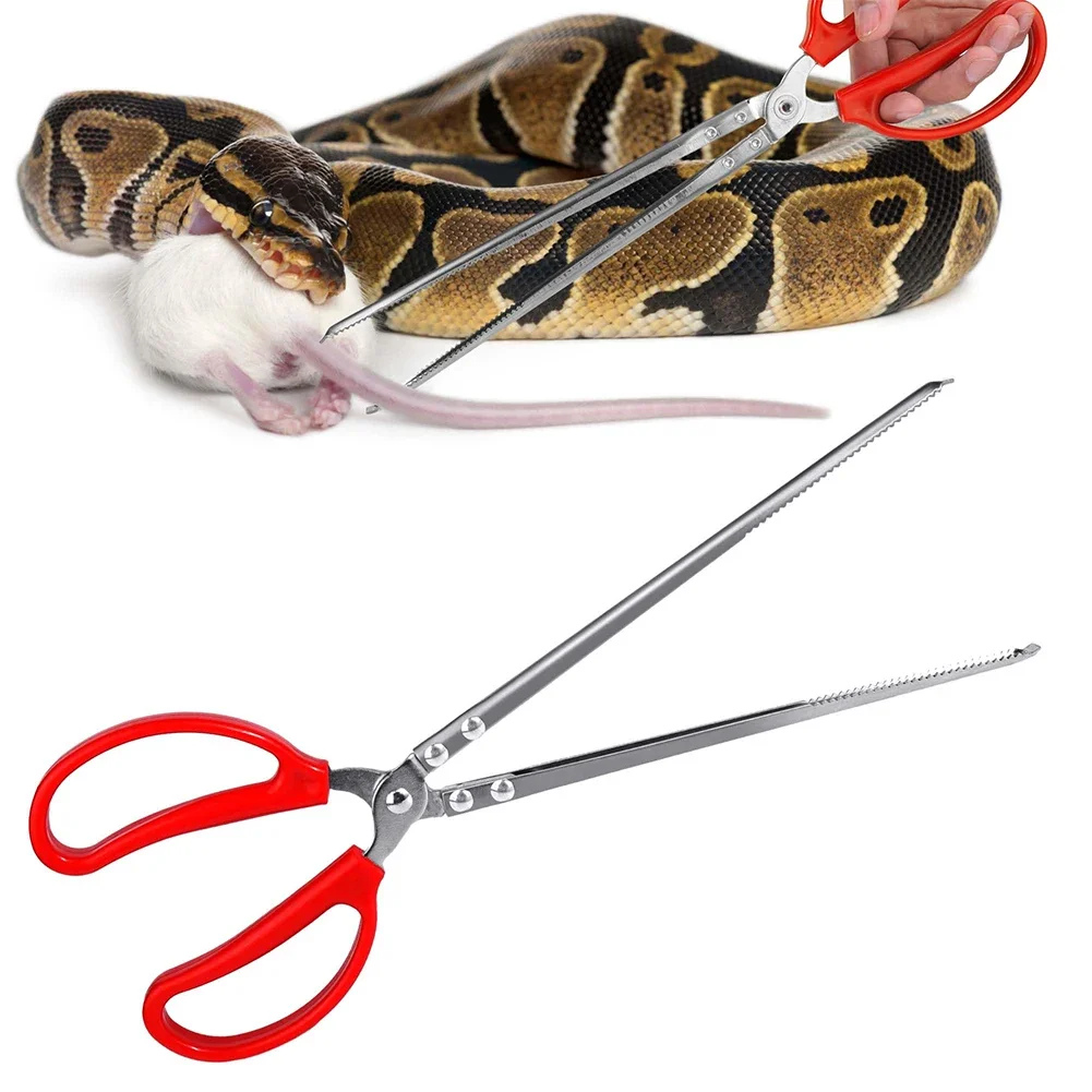 Snake/Reptile Feeding Tongs 1