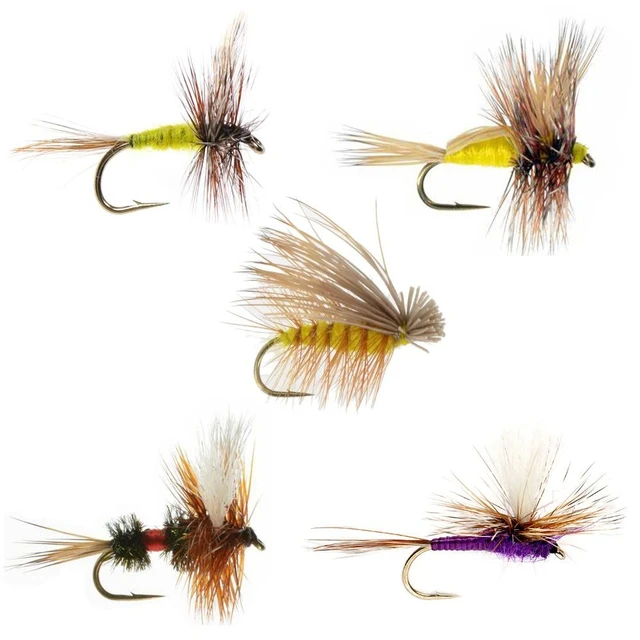 20pcs Long Shank Fly Fishing Hooks Dry&Wet&Nymph&Shrimp Caddis Pupa Streamer  Fly Hook Fly Tying Fishhook - AliExpress