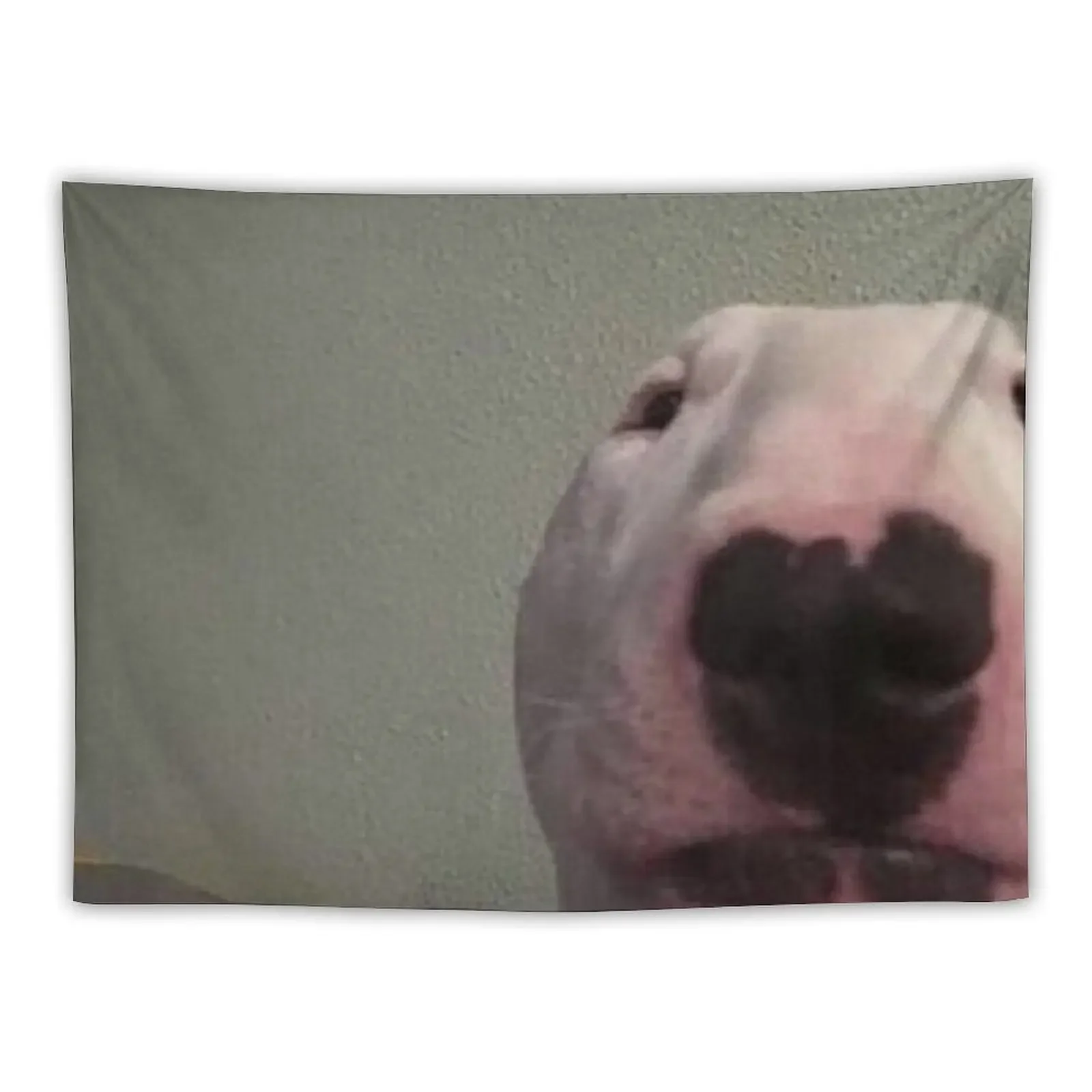 

Walter Dog Tee Tapestry Custom Room Decorations Things To Decorate The Room Wall Coverings Tapestry