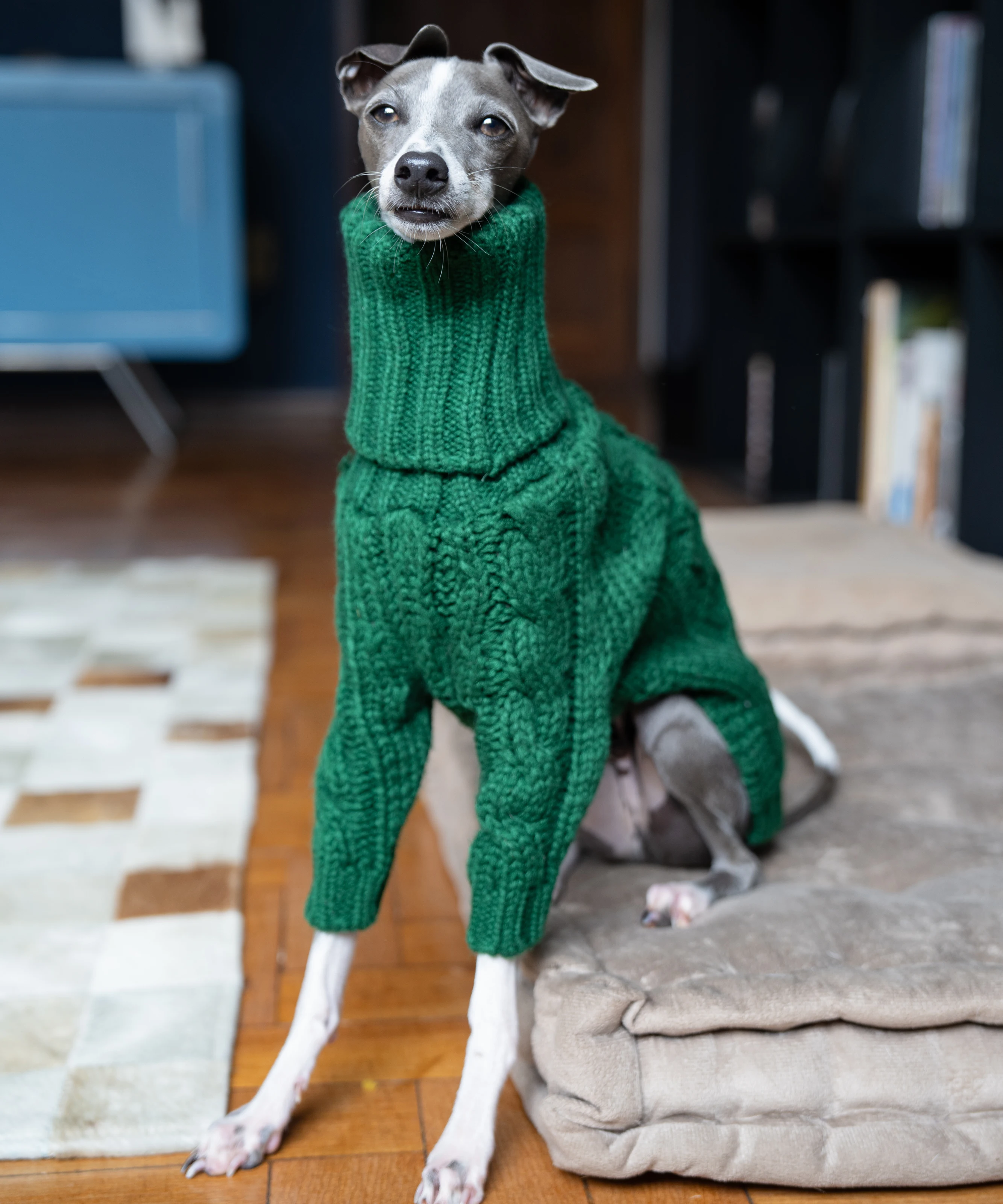 Italian Greyhound Whippet Lurcher Galgo Dog Clothing, Turtleneck