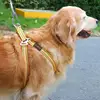 Dog Tie Out Cable Under 250LBS | Steel Wire Leash with Rotatable Buckle | Outdoor Camping Backyard Walking Chains | 6 Size 4