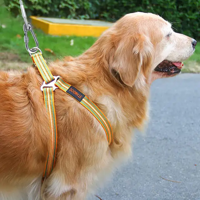 Dog Tie Out Cable Under 250LBS | Steel Wire Leash with Rotatable Buckle | Outdoor Camping Backyard Walking Chains | 6 Size 4
