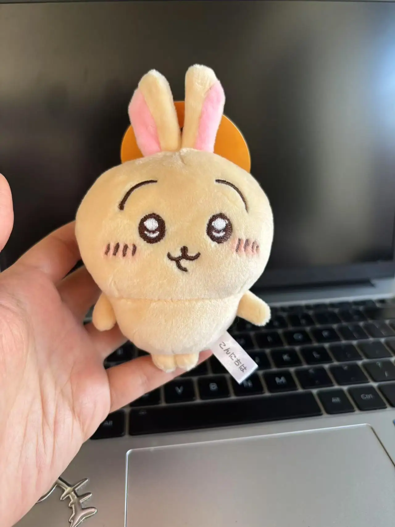 Usagi