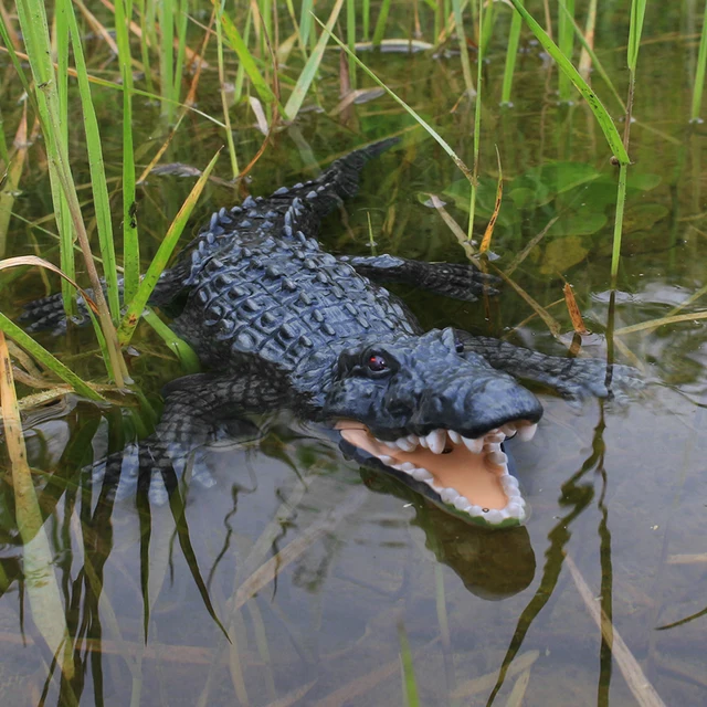 RC Shark Toy Remote Control Animals Robots Bath Tub Pool Electric Toys for Kids Control Spoof Toy Garden for Yard Art Crocodil 2