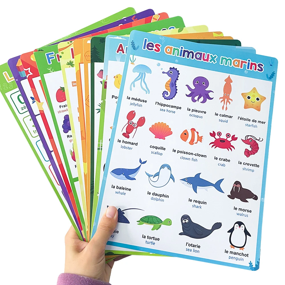 French English Bilingual Words Learning A4 Posters Charts for Kids Kindergarten Classroom Decoration Teacher Teaching Aids 10Pcs 4