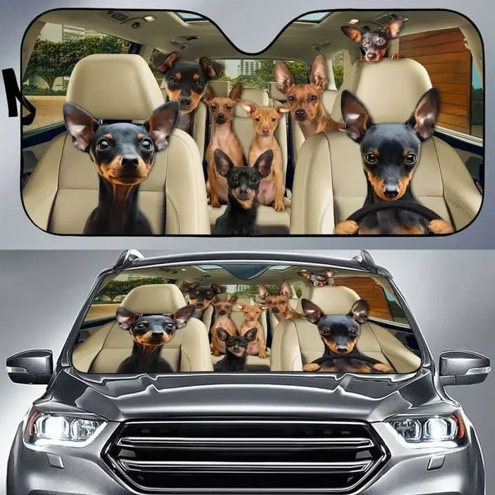 

SH1246 миниатюрный солнцезащитный козырек для собак Pinscher Team