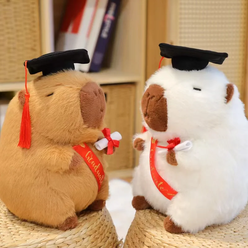 

New Graduate Plush Dolls Doctor Capybara Owl Bear Plush Toy Cute Stuffed Animal Toy Doll Soft Cartoon Pillow Graduation Gift
