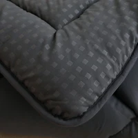 152x203cm 160x200cm 180x200cm Quilted Mattress Pad with Lacing 6
