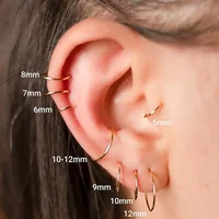 2/6PCS Seamless 316L Stainless Steel Classic Nose Rings for Men and Women Hoop Earrings Septum Helix Tragus Ear Piercing Jewelry 1