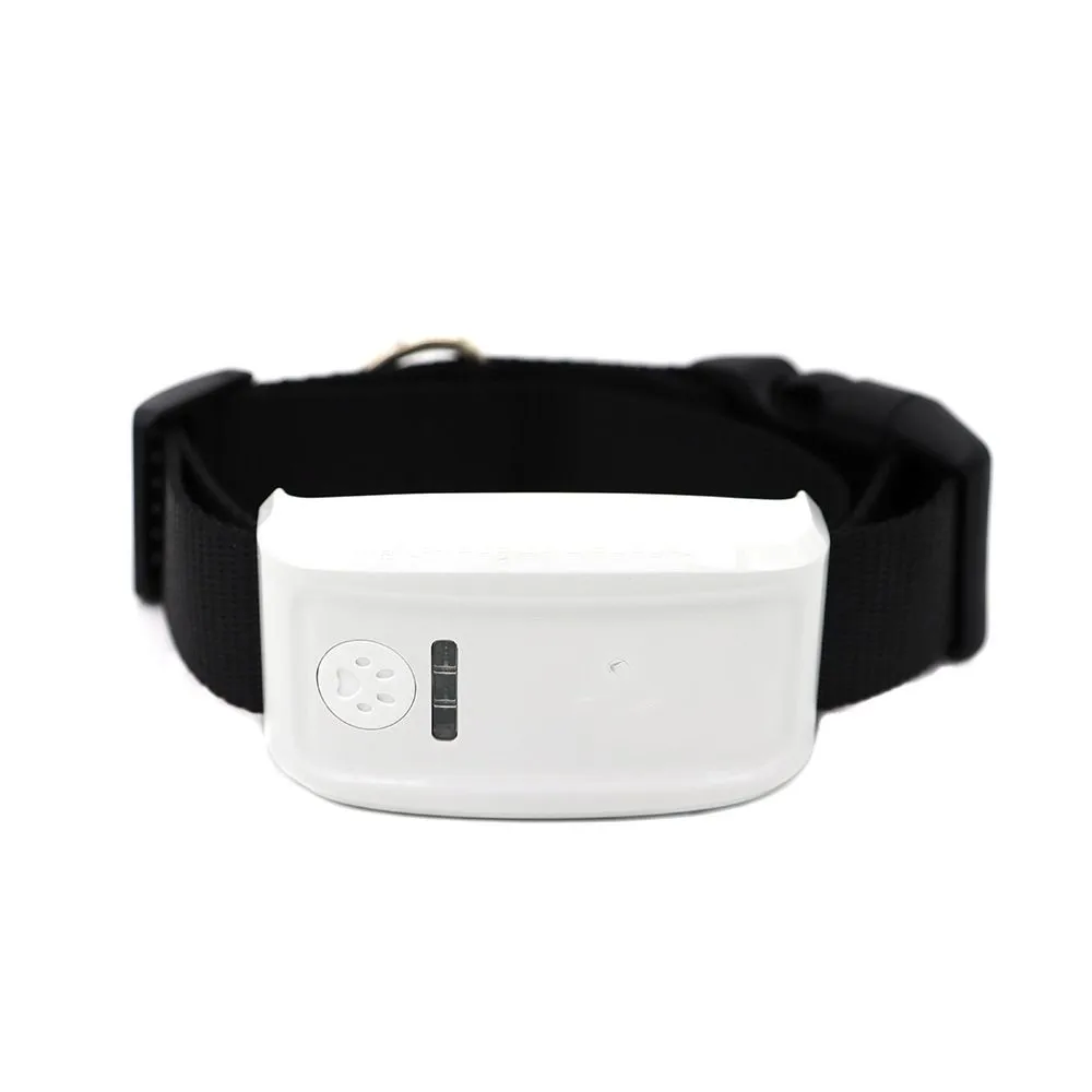 TK909 Pet GPS Locator Smart Collar APP Online Tracking Mobile Fence