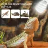 UVB 5.0 10.0 Reptile Heating Lamp 13W /26W UV Energy Saving Bulb Terrarium Basking Reptile Light Turtle Lizard Snake Lamps 2