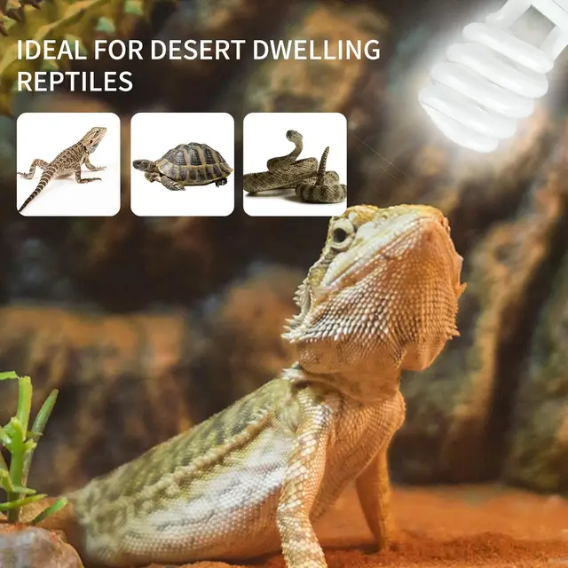 UVB 5.0 10.0 Reptile Heating Lamp 13W /26W UV Energy Saving Bulb Terrarium Basking Reptile Light Turtle Lizard Snake Lamps 2