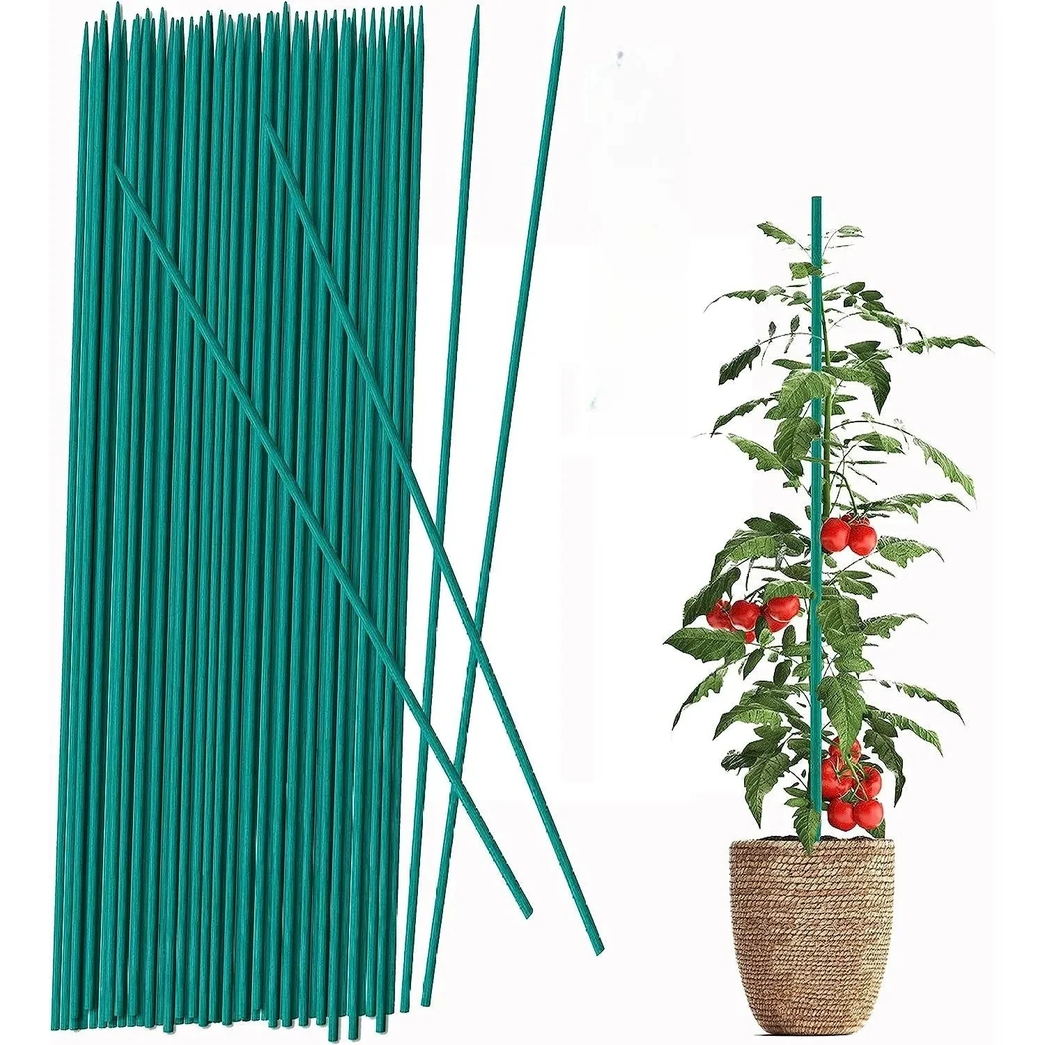 20Pcs Bamboo Green Sticks Plant Support Flower Stick Orchid Rod Plant Sticks for Supporting Climbing Plant Orchid Tomato