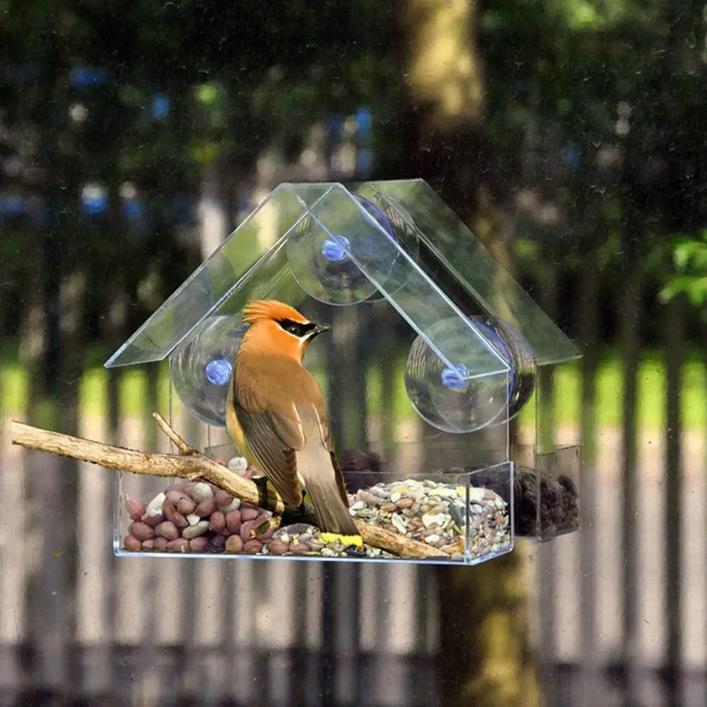 

Bird Feeder Large Capacity Clear Window Bird Feeders with Suction Cup Hanging Bird Food Container Bird House Bird Supplies