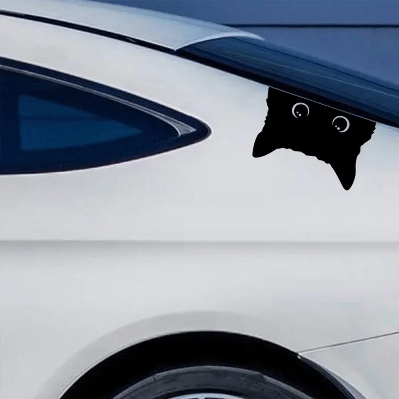 Cute Poor Cat Vinyl Car Sticker 6
