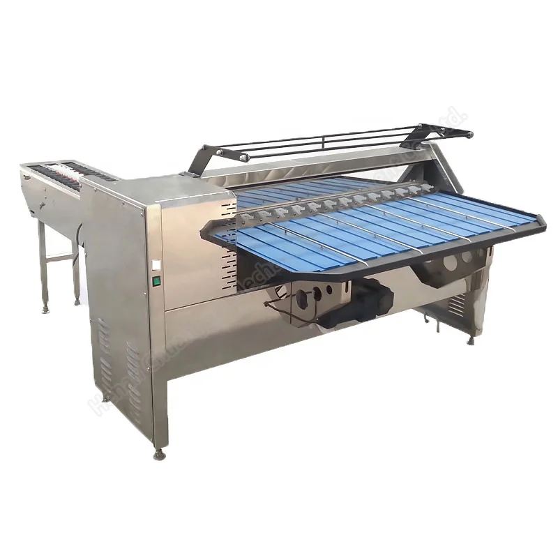 Automatic Egg Graders & Candlers