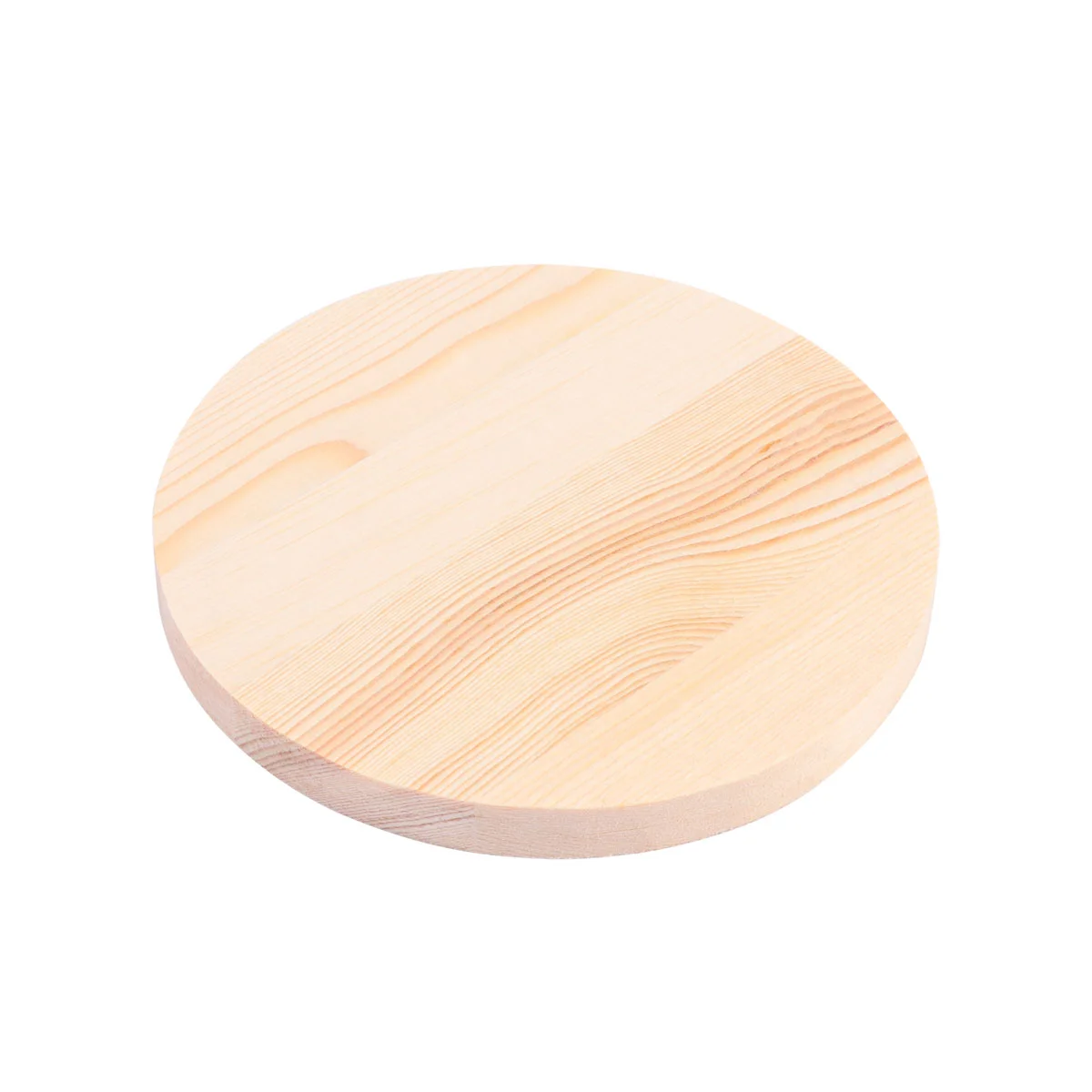 

10 PCS Wood Slices for Painting Decor Wooden DIY Projects Hand Hubs Round Placemats Chips Disc Ornaments