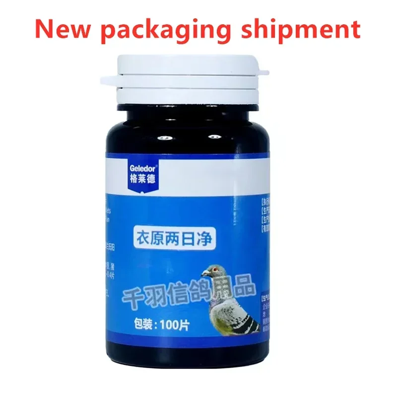 Pigeon Racing Pigeons With Chlamydia Mycoplasma Monocular Cold Eyes Tearful Birds Parrots