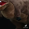 Carnotaurus High Fidelity T-Rex Cute Plushie Dinosaurs Plush Toys Lifelike Animals Simulation Stuffed Doll Kawai Toy Gifts Kid 6