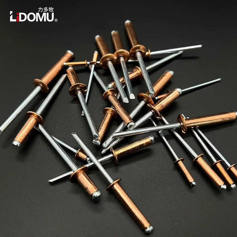 30/50pcs Copper Blind Rivet rivets and fasteners rivets and screws Dome Head Open Type Anticorrosive Bronze Brass Rivets