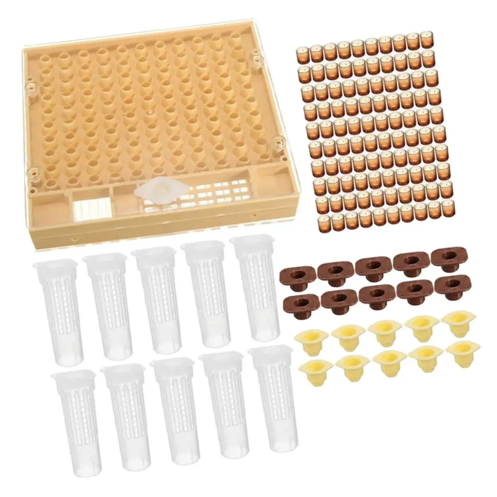 Beekeeping Tool Kit Queen Rearing System cup of Holder Cage