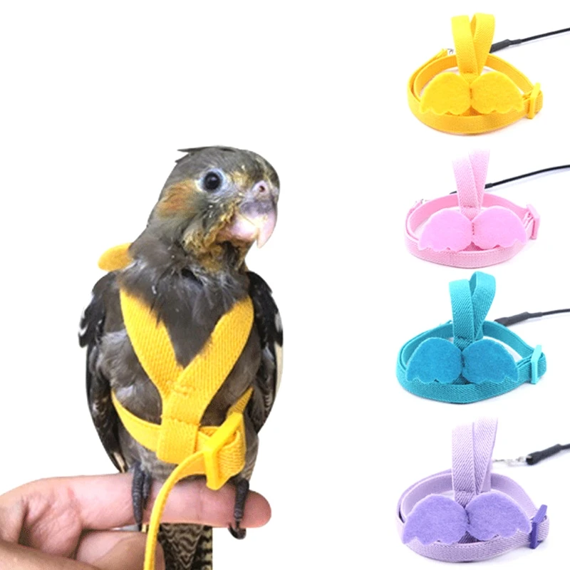 Adjustable Parrot Leash Birds Pet Parrot Bird Harness Leash רתמת
