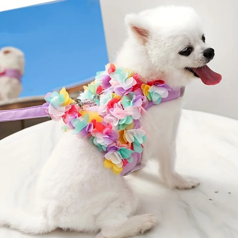 1pc Luxury Pet Harness and Leash Set Soft Adjustable Breathable Mesh