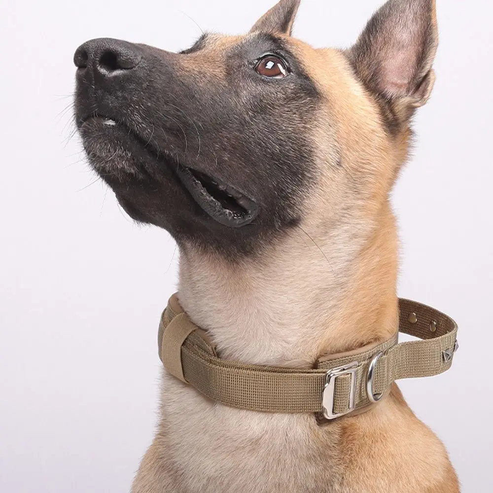 Durable & Breathable Adjustable Metal Buckle Dog Training Collar