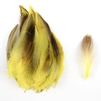 50pcs Mallard Flank Feathers For Fly Tying 6