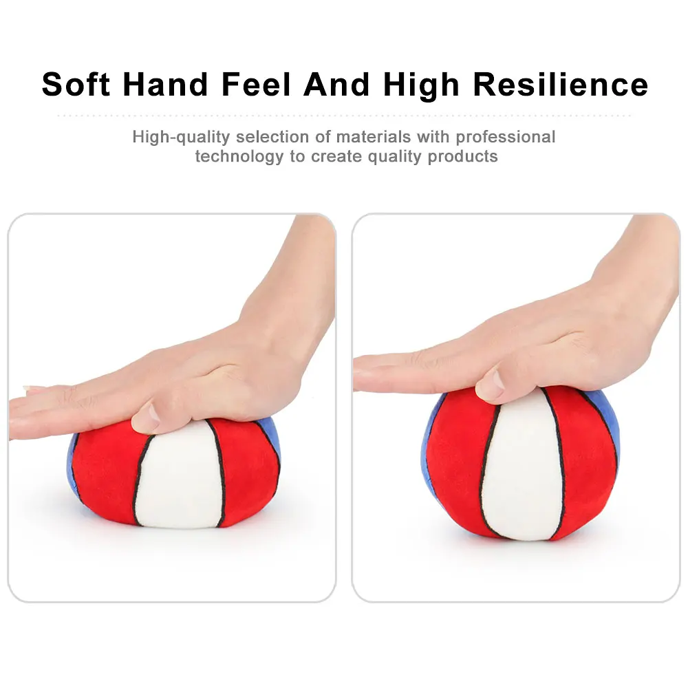 Plush Squeaky Ball Dog Toy 4