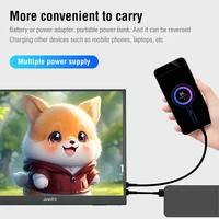 Anmite 15.6 inch Touch Portable Monitor 1080P HDR IPS Gaming Monitor USB TYPE C HDMI for Phone Laptop Desktop Switch PS4 XBOX - Image 3