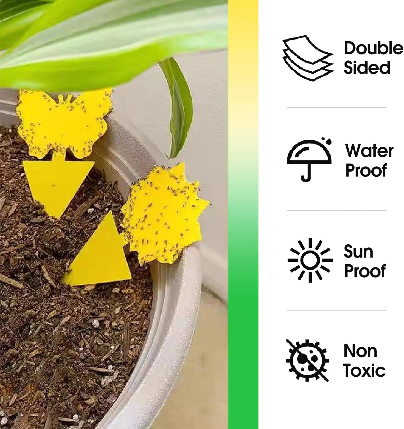 Universal Non-Toxic Flying Insect Traps - Indoor & Outdoor, Kid & Pet Safe, Economical Pack