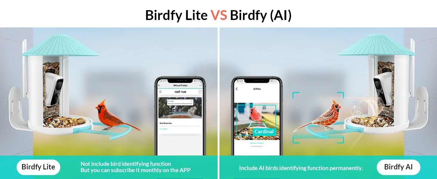 Netvue Birdfy - Caméra de Mangeoire Oiseaux Exterieur, Caméra d'oiseaux, AI  Reconnaissance des Espèces d'Oiseau, Caméra WiFi à Batterie, Capture des  Images/Vidéos (Birdfy Feeder)