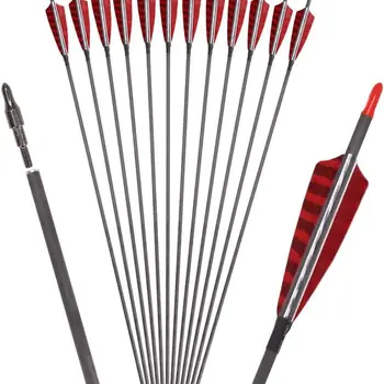 Carbon 600-700 Spine 30 Turkey Feather Fletched Arrows with Screw-In Points for Traditional, Recurve, and Compound Bows. 1
