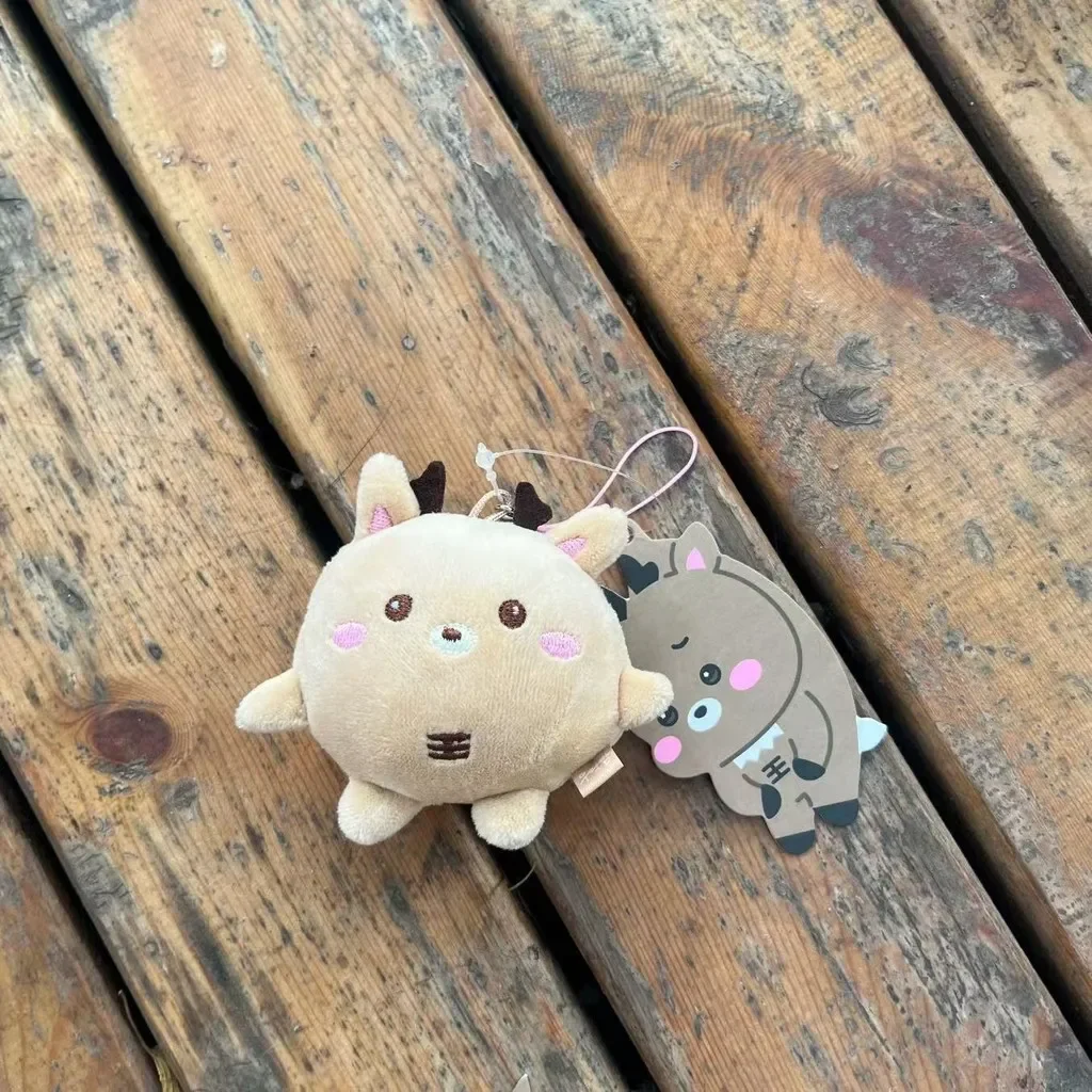 Riize Mini Doll Keyring Riizing Fan Con Riizing Day Finale Key Chains