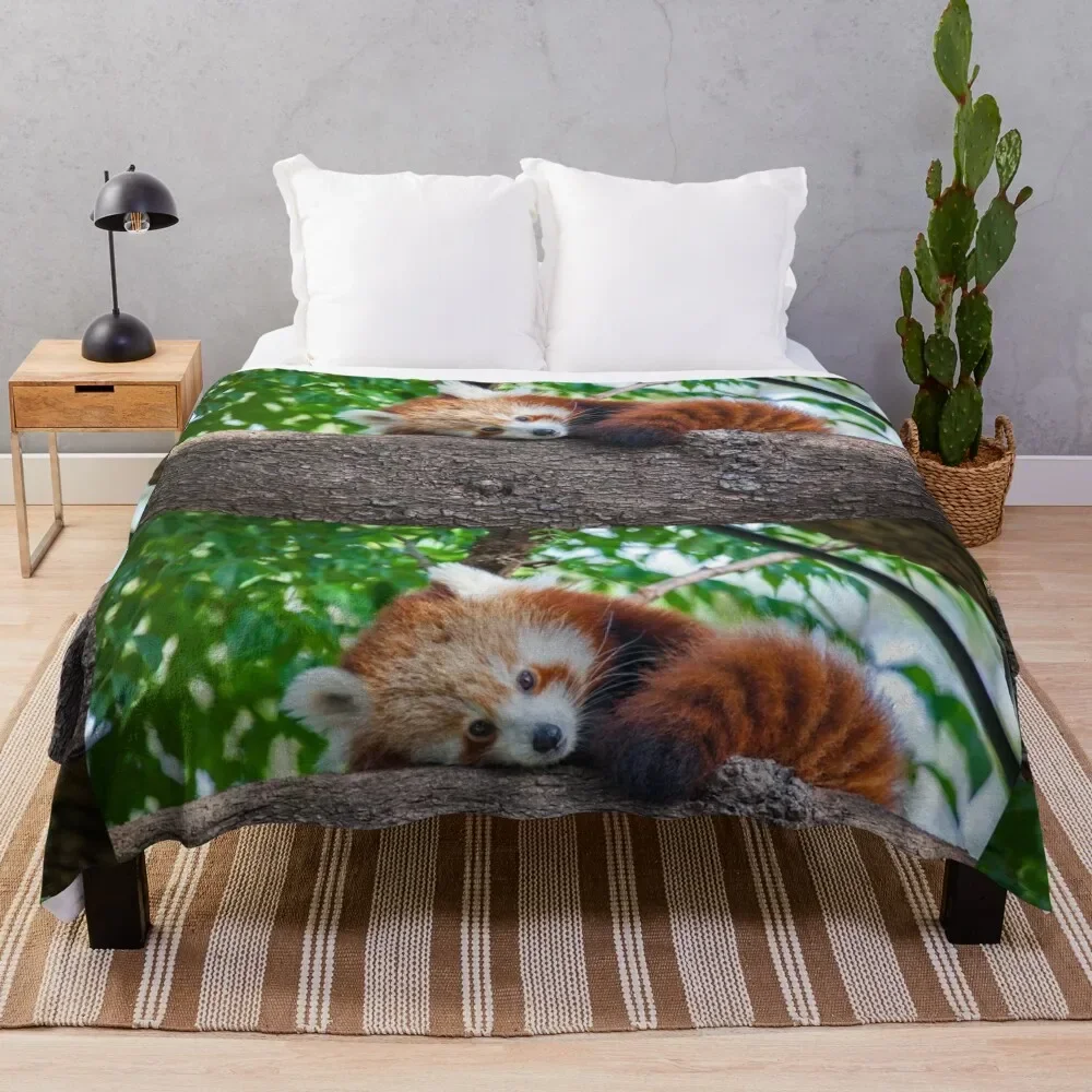 

Red Panda Pose Throw Blanket Bed Fashionable Multi-Purpose Blankets For Sofas blankets and throws Blankets