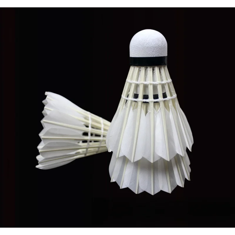 Рисунок 5 - Аксессуары для бадминтона