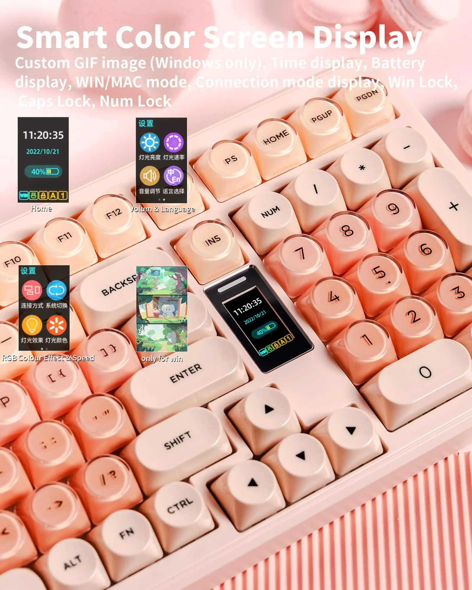 Womier WK98 무선 기계식 게이밍 키보드 트라이 모드 핫 스와퍼블 RGB MOA 프로파일 핑크 젤리 키보드 스크린 포함
